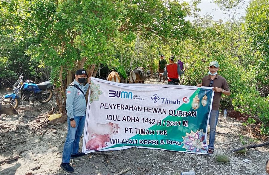 PT Timah Tbk Bagikan 32 Ekor Hewan Kurban di Kepuluan Riau dan Riau