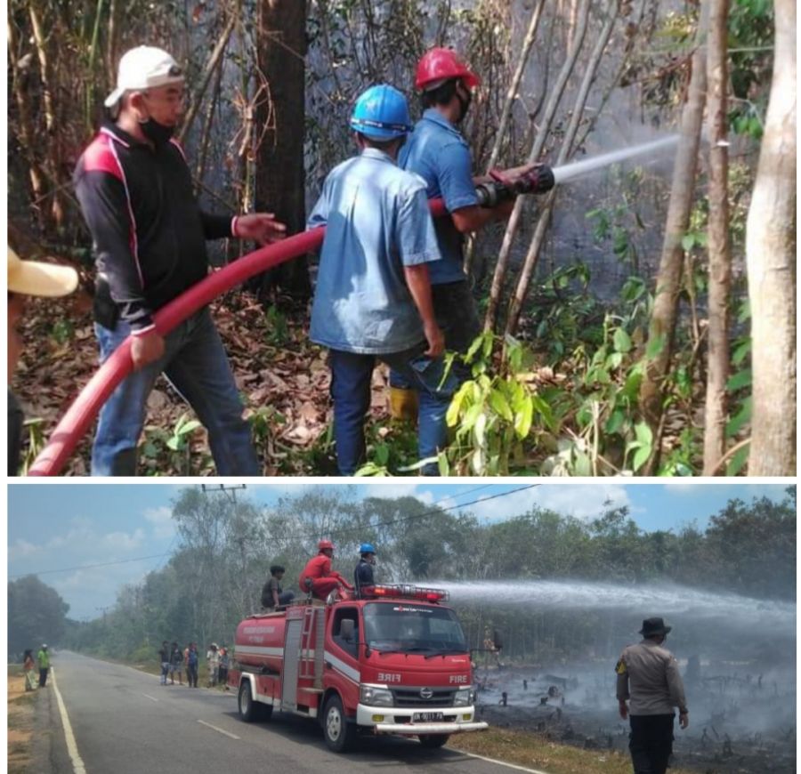 PT Timah Wilayah Kepri dan Riau Sigap Bantu Padamkan Kebakaran Lahan dan Rumah